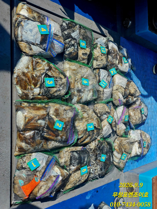69339.jpg