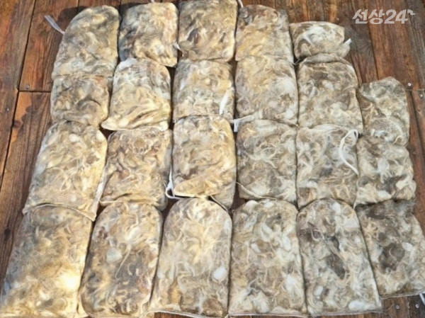 10 (1)_b.jpg