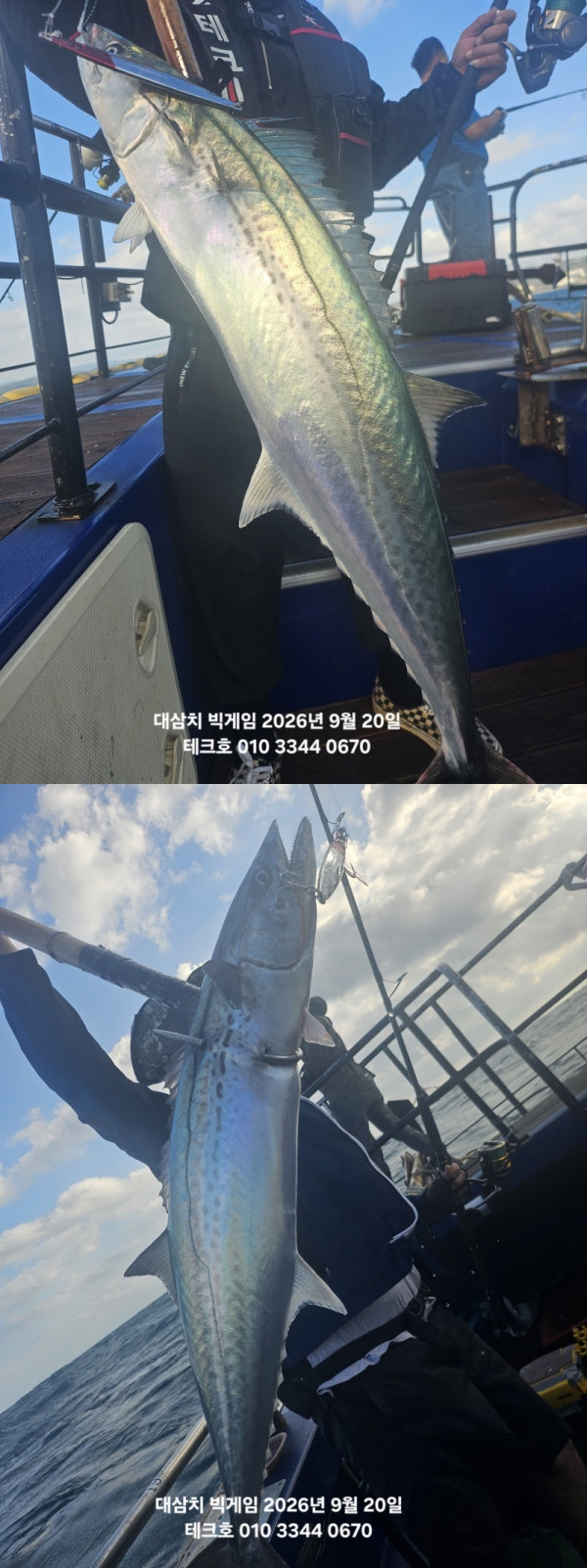KakaoTalk_20260920_090643414_09-vert.jpg
