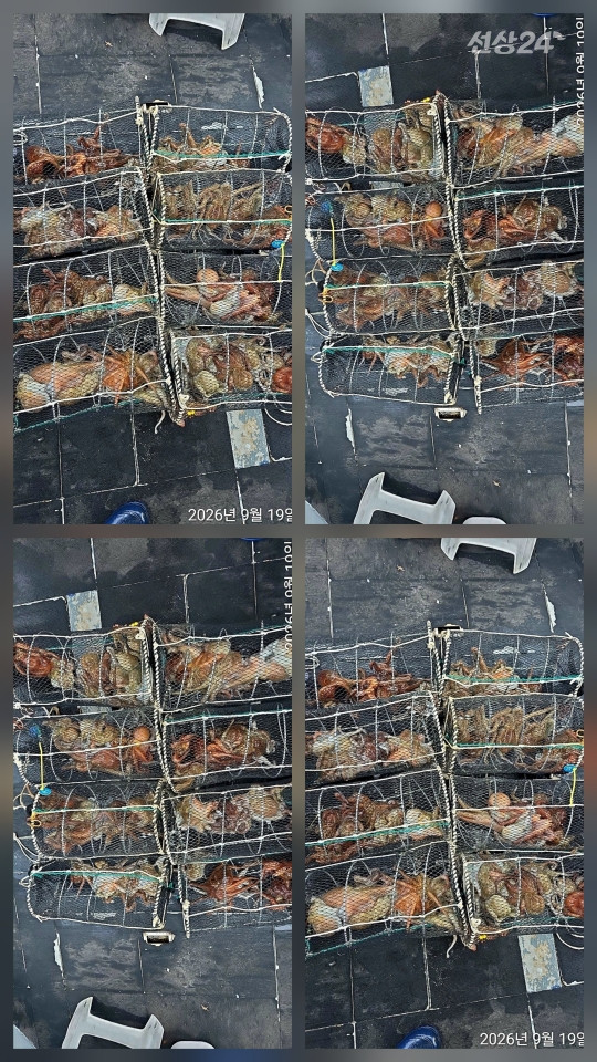 1000158946.jpg