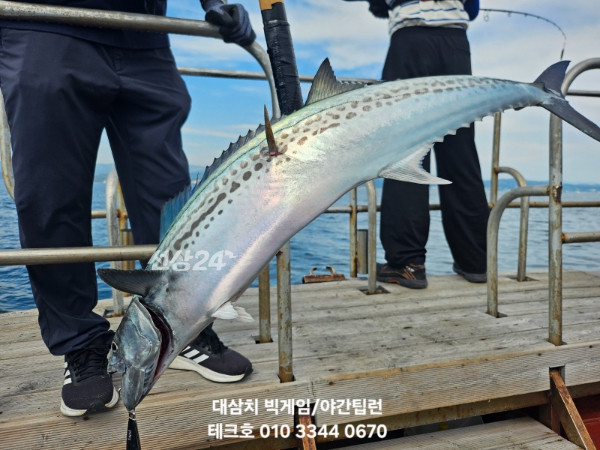 KakaoTalk_20260924_123538514_05.jpg