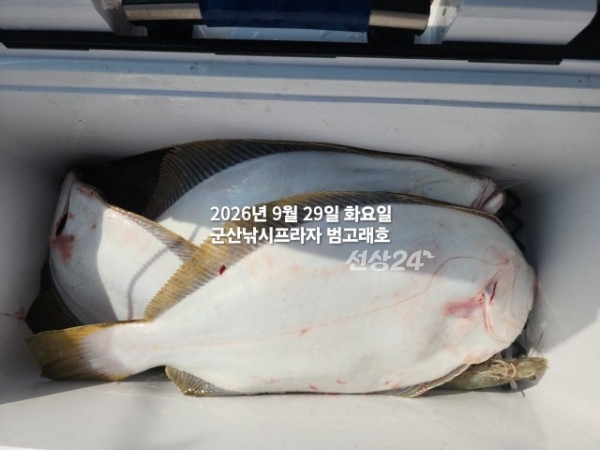KakaoTalk_20260929_140337047_01.jpg