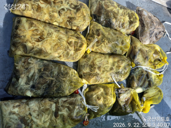 새만금낚시클럽_사진_20260922_13.jpg