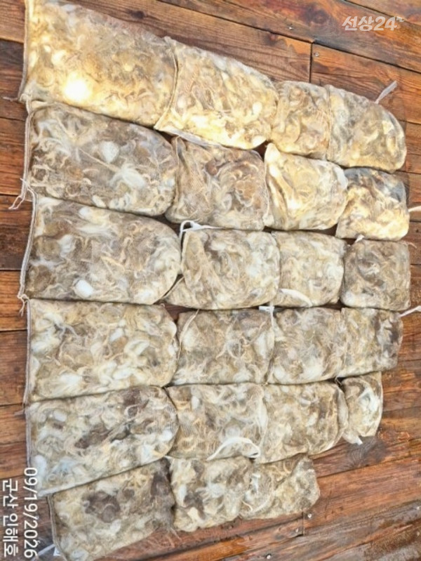 13 (2)_b.jpg