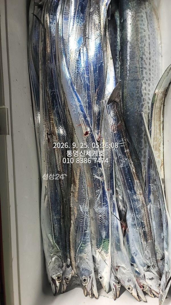 1790297389355.jpg