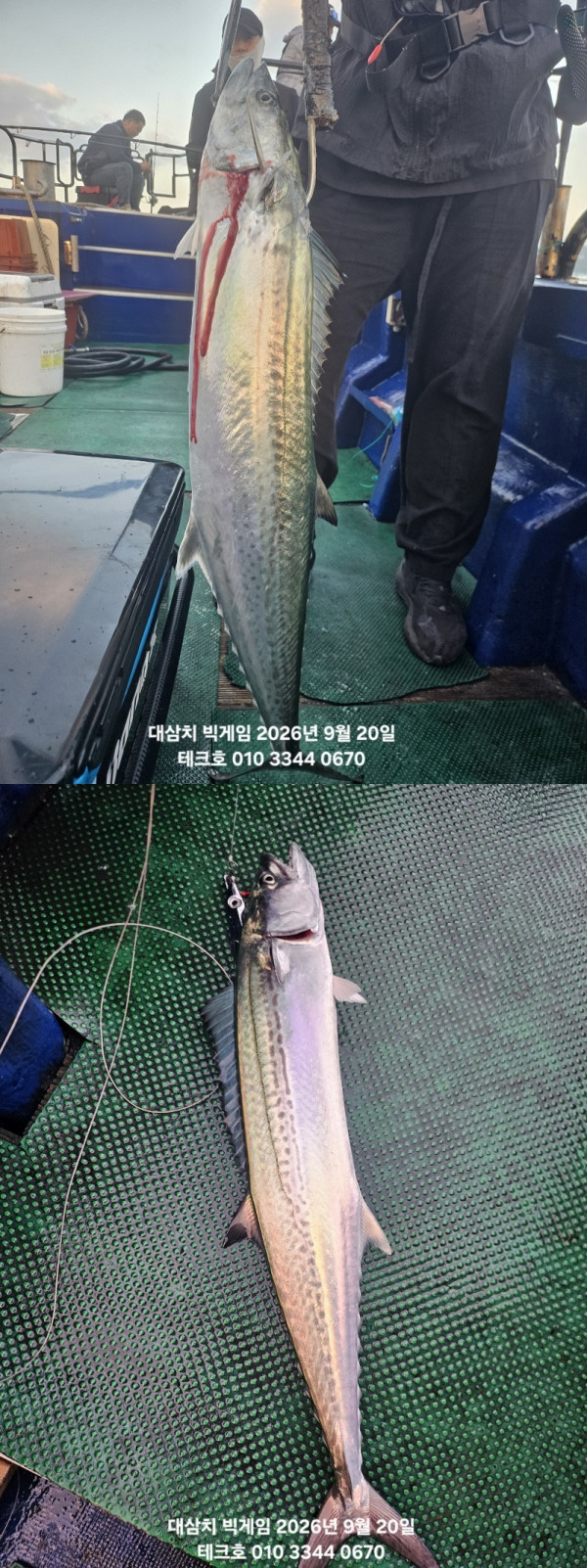 KakaoTalk_20260920_090643414_02-vert.jpg