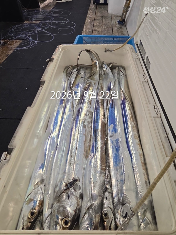 B79D0995-9928-4D6D-81A1-1DBDF702DEE2.jpeg