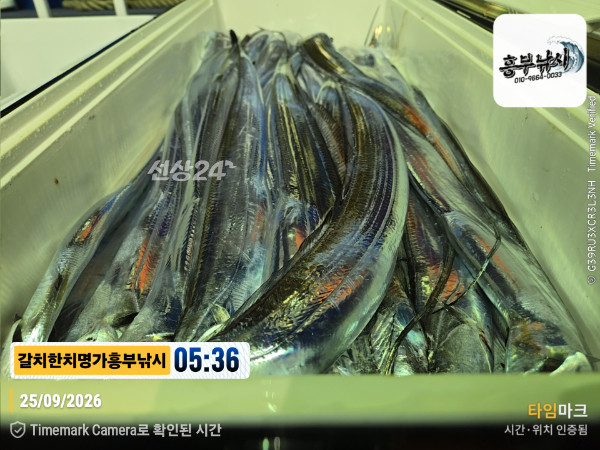 2026-09-25 05.36.43__(제목-갈치한치명가흥부낚시).jpg