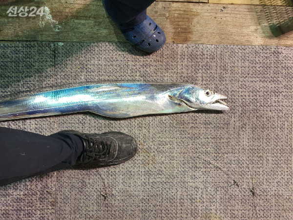 20260916_002333.jpg