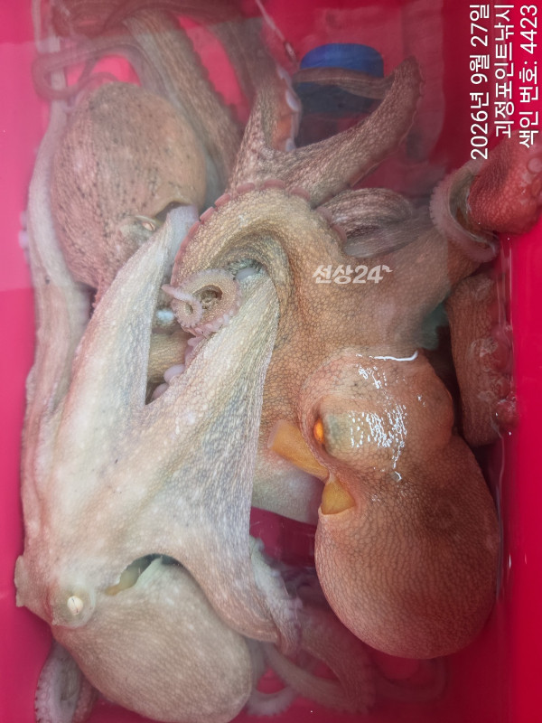 KakaoTalk_20260929_172401356_14.jpg