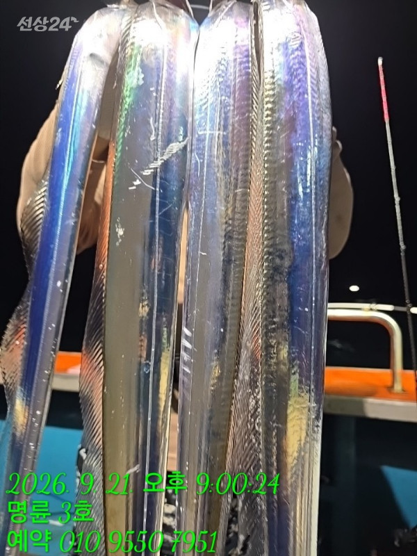 KakaoTalk_20260922_064825118_03.jpg