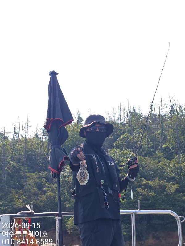 353.jpg
