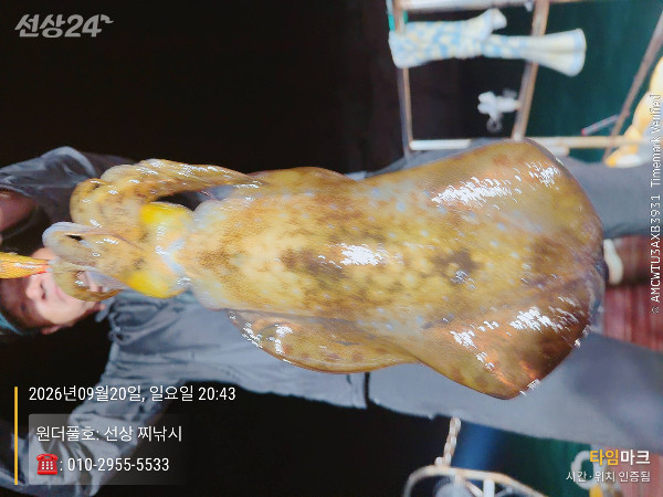 2026-09-20 20.43.28_(원더풀호-선상 찌낚시)_(-010-2955-5533).jpeg