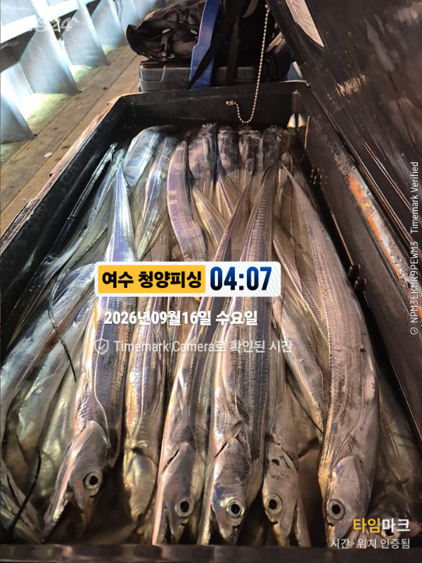 2026-09-16 04.07.37__(제목-여수 청양피싱).jpg