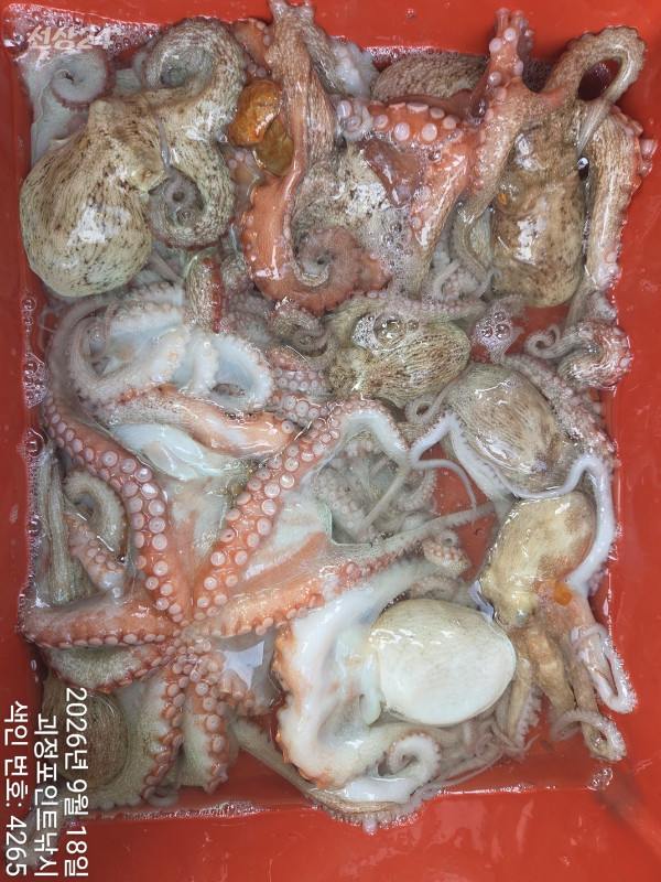 KakaoTalk_20260920_143922145_11.jpg