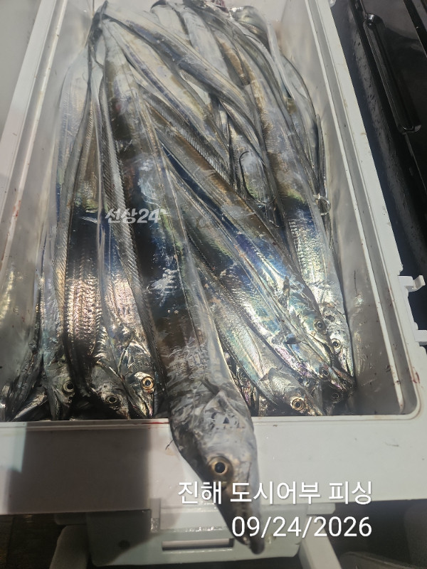 KakaoTalk_20260924_050456578_17.jpg