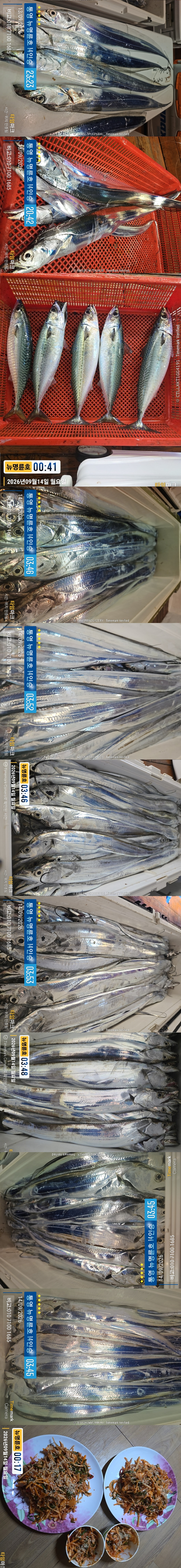 9-14갈치2.jpg