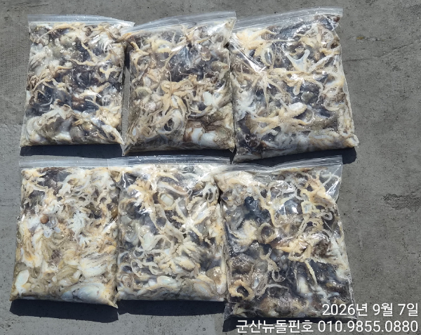 15094.jpg
