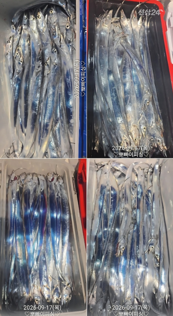 1000116190.jpg