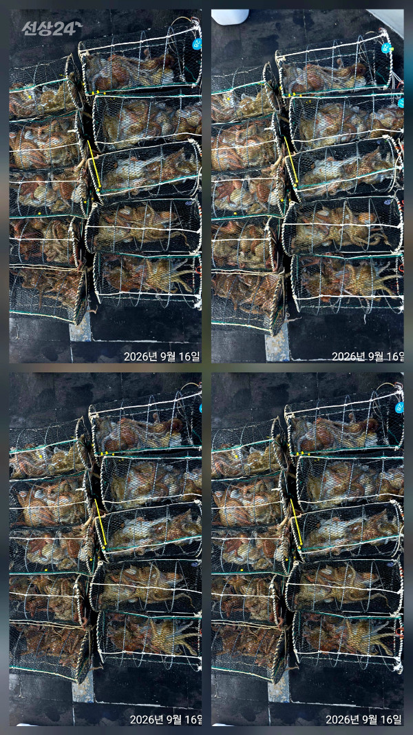 1000158599.jpg