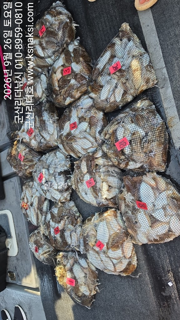 KakaoTalk_20260926_154649041.jpg