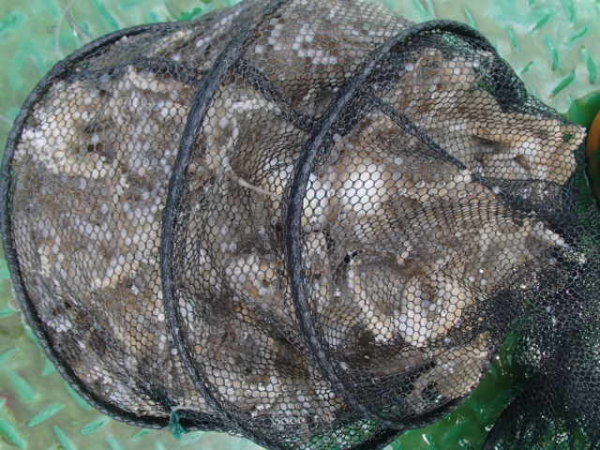 P9020020.JPG