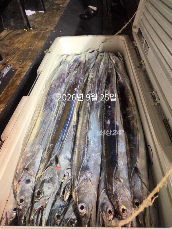 59B0B4AF-5384-412B-BFCA-A1CB48C121B4.jpeg