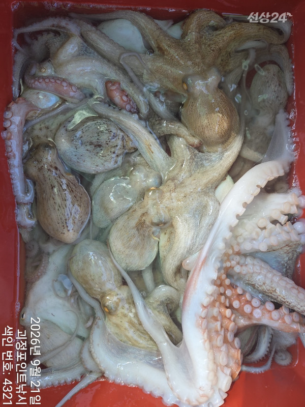 KakaoTalk_20260922_144731260_09.jpg