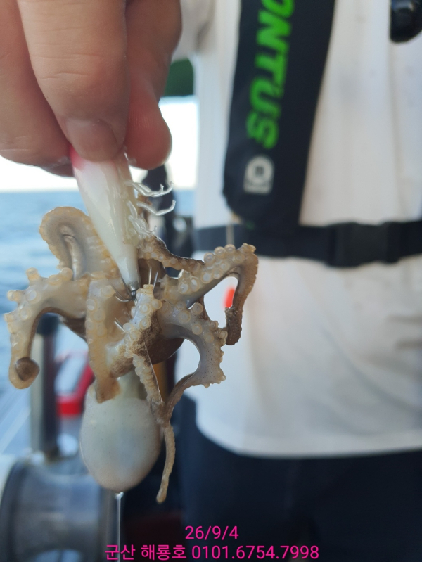 24 (3).jpg
