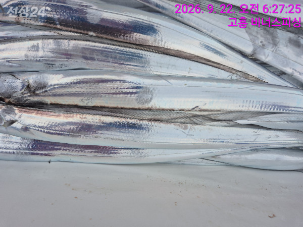 1000056165.jpg