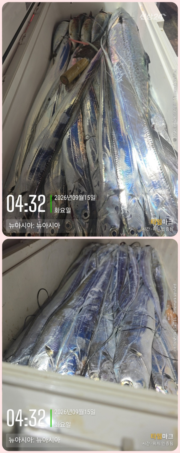 KakaoTalk_20260915_075417688_02-down.jpg