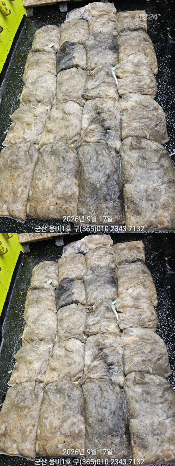 KakaoTalk_20260917_172232922-vert2222222222222.jpg