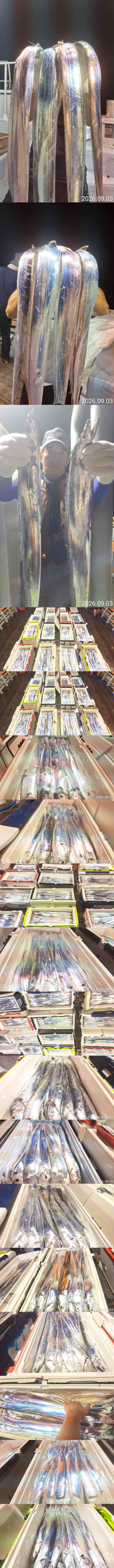 2222.jpg