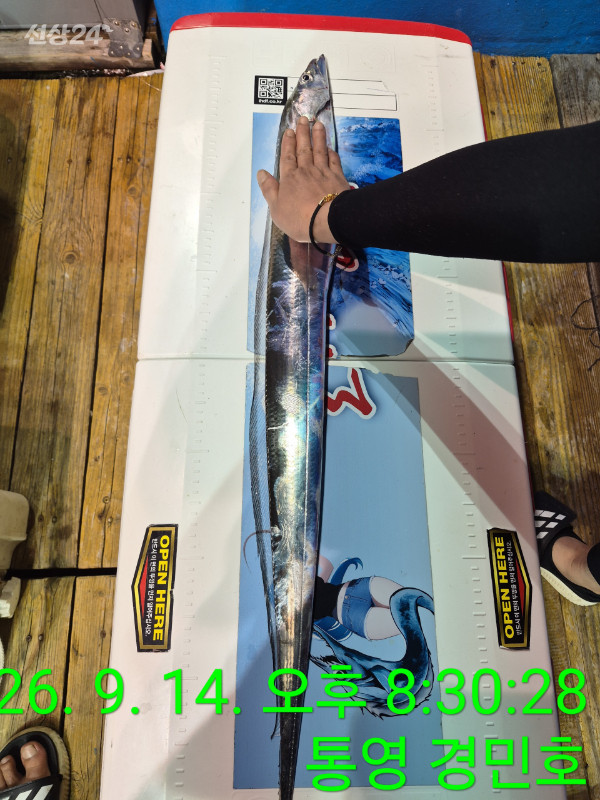 Resized_TimePhoto_20260914_203028.jpeg