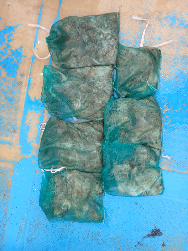 306.jpg