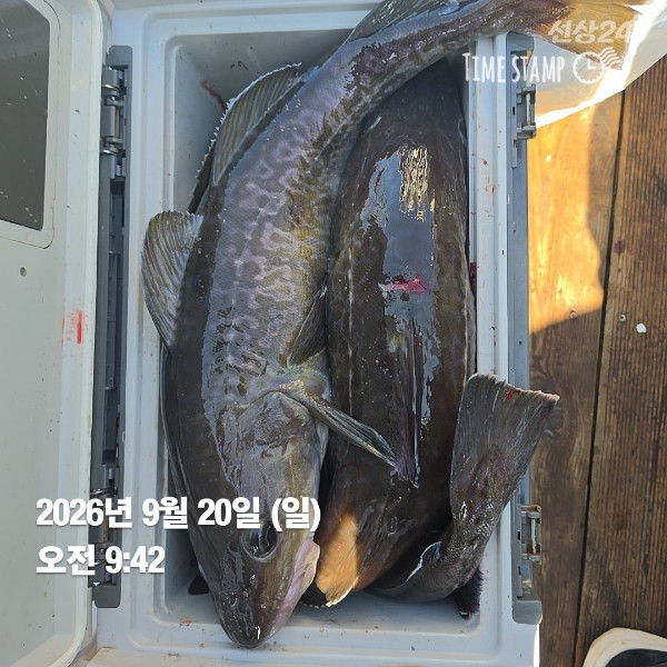 2026-09-20T09_42_47.738.jpg