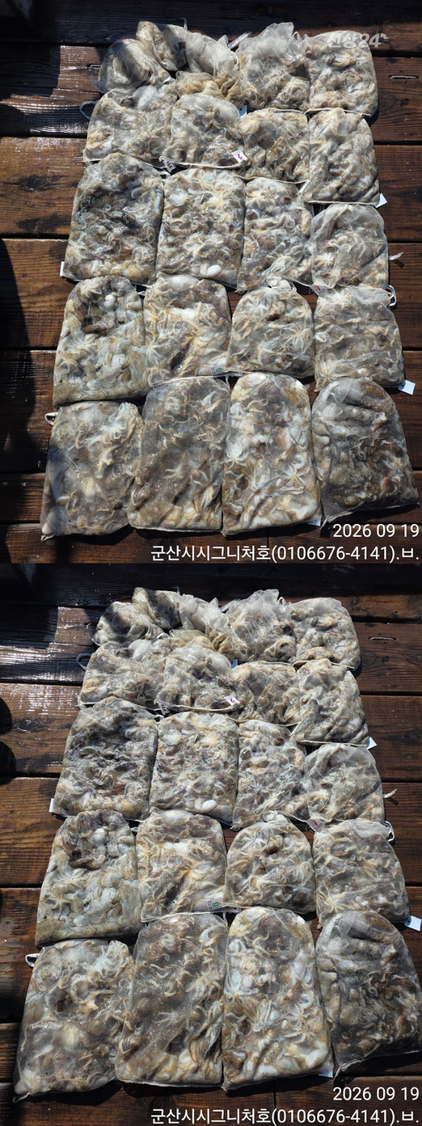 KakaoTalk_20260919_160939562-vert11111111111.jpg