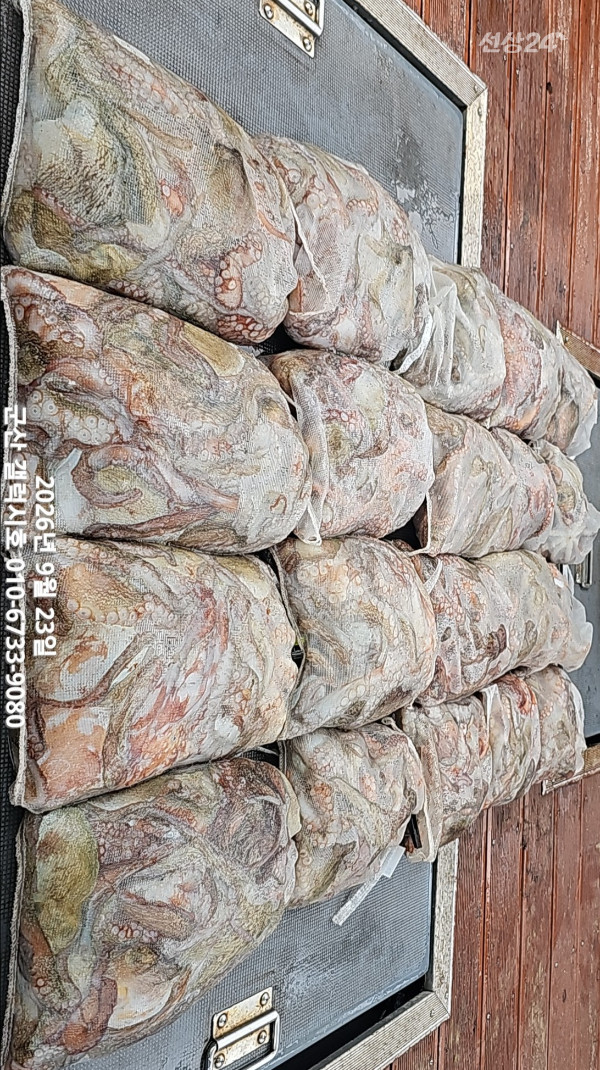 KakaoTalk_20260923_164018087.jpg