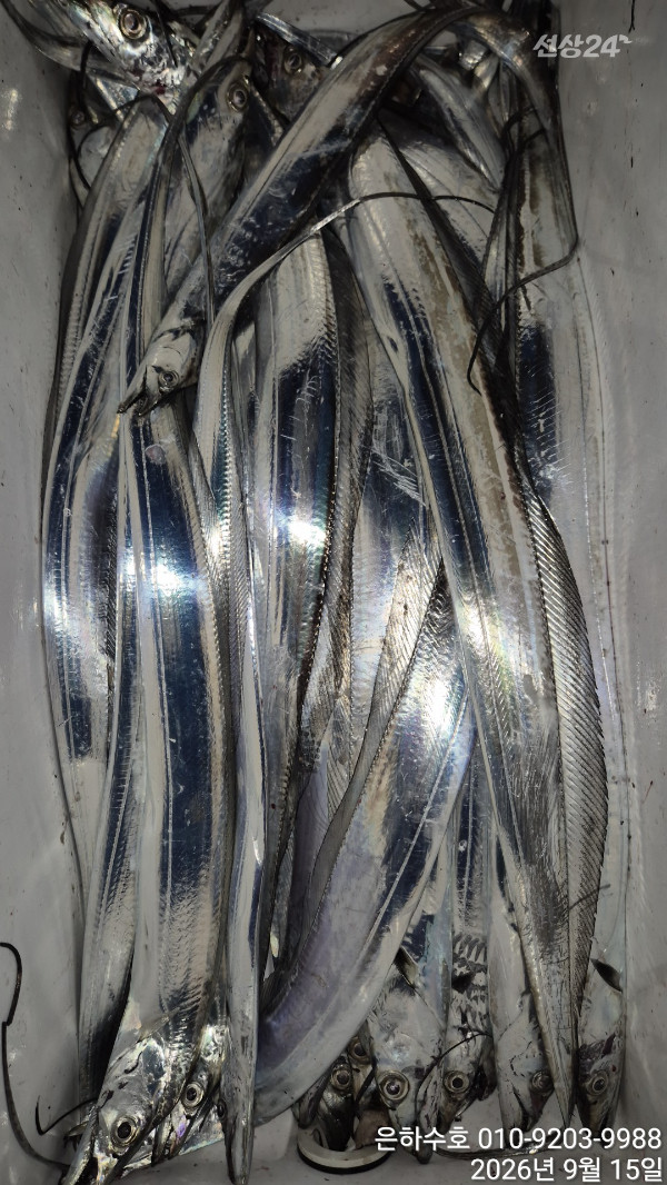 1000051416.jpg