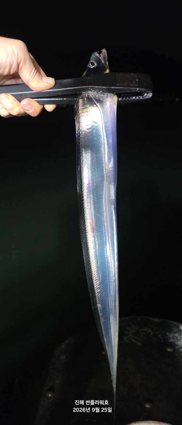 83033.jpg