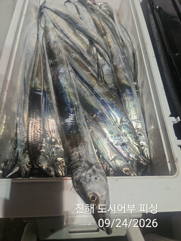 KakaoTalk_20260924_050456578_17.jpg