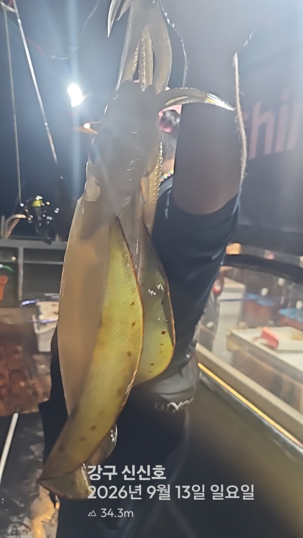 신신낚시 강구점 신신호_사진_20260914_6.jpg