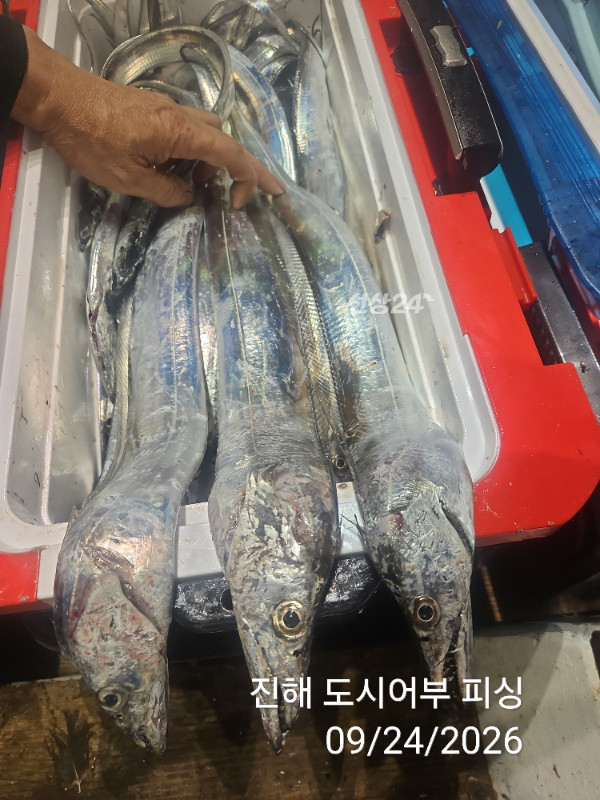 KakaoTalk_20260924_050456578_12.jpg