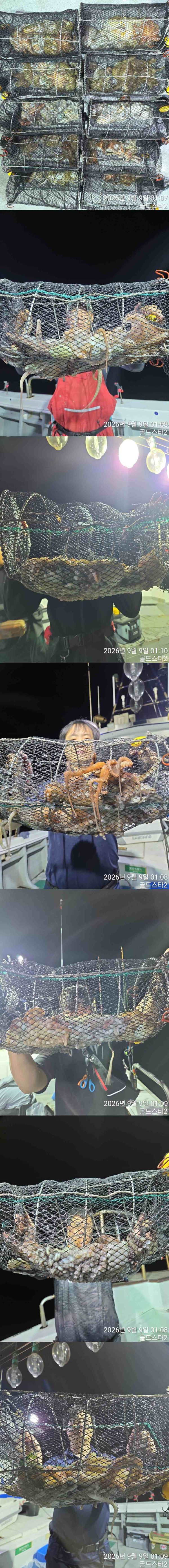[포맷변환]9.jpg