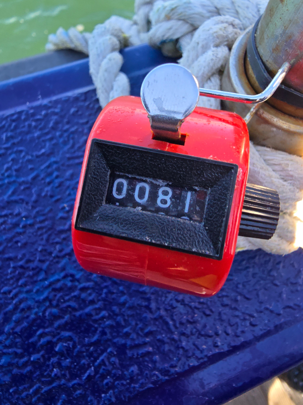 20260906_143142.jpg