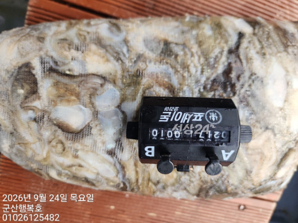 군산행복호_사진_20260924_5.jpg