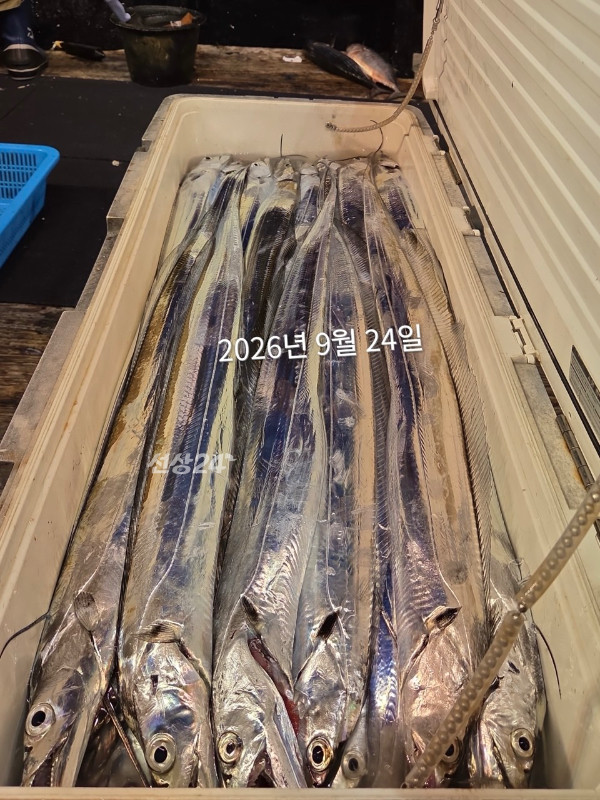 B4234161-C988-4360-AB68-B7D6845950D2.jpeg