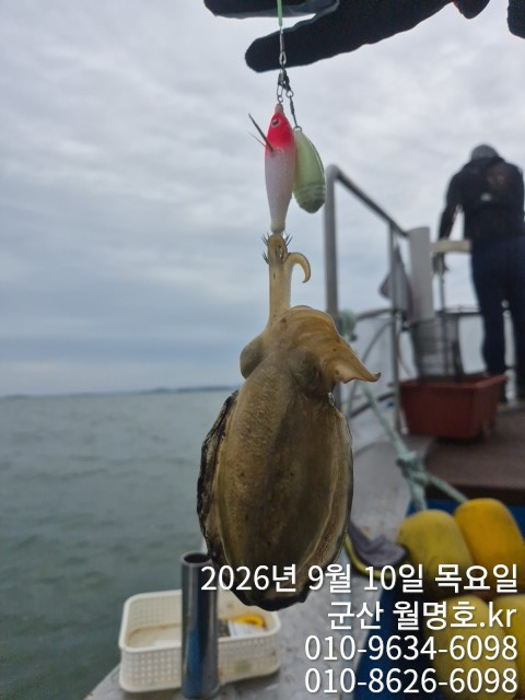 15017.jpg