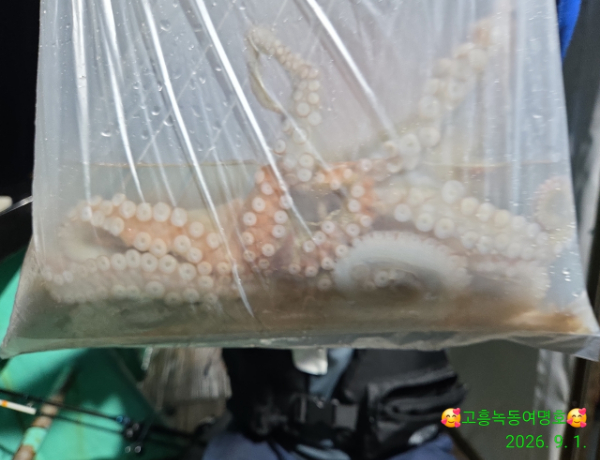 쎄븐피싱클럽(선상 버스출조전문)_사진_20260902_11.jpg