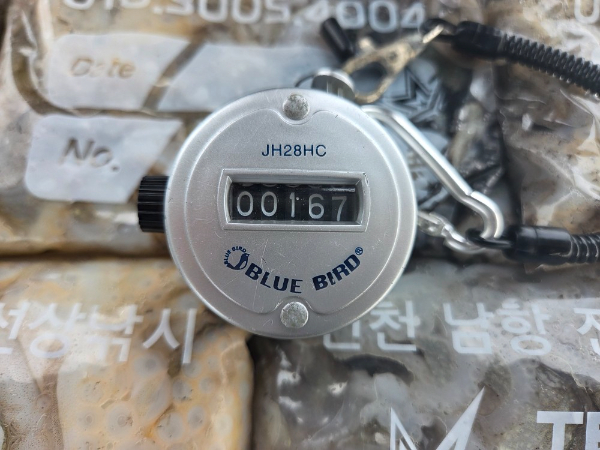 22612.jpg